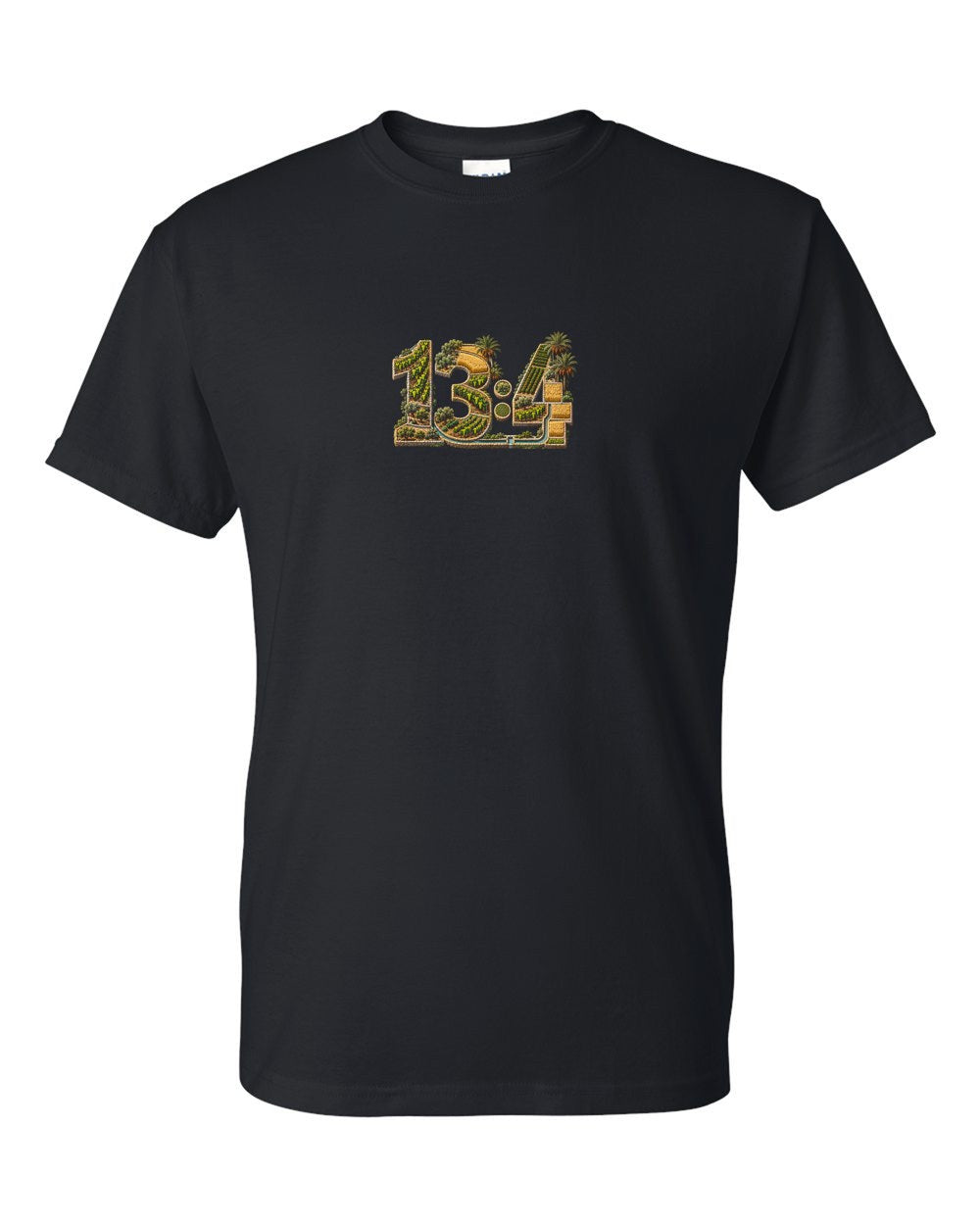 Neighbouring Plots 13:4 Ayat Tee T-Shirt Black front